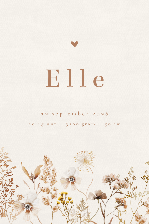 Poster babykamer met droogbloemen