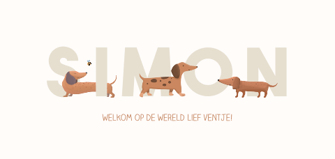 Speels geboortekaartje met teckels voor een jongen