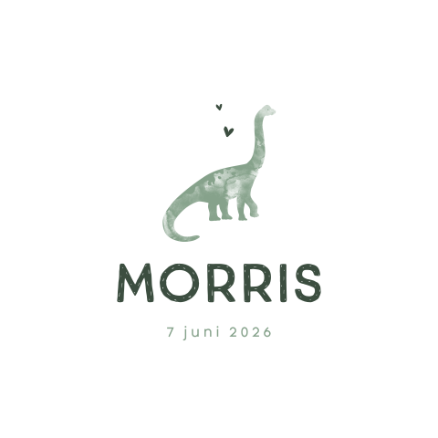 Lief geboortekaartje met groene dino voor een jongen
