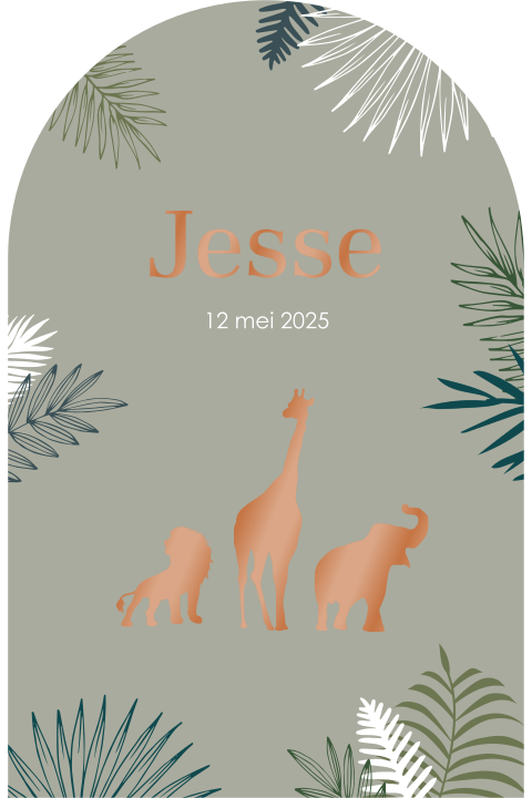 Origineel hoogglans babykaartje in de vorm van een arch