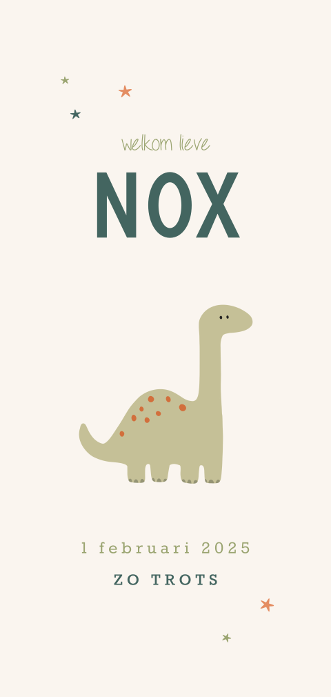 Avontuurlijk geboortekaartje met dino en sterretjes voor een jongen