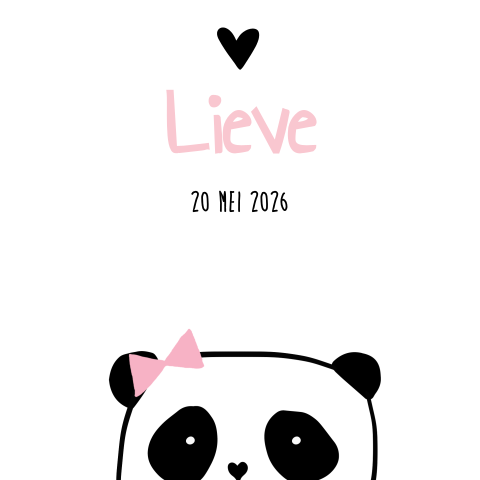 Trendy geboortekaartje meisje met panda