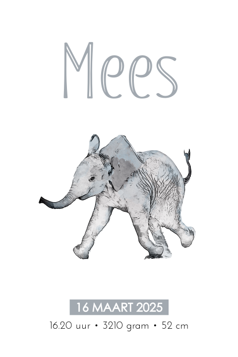 Stoere poster met olifantje in waterverf