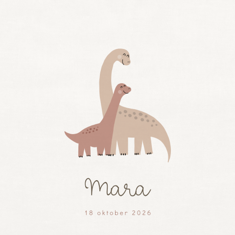 Schattig geboortekaartje meisje met illustratie van dino's