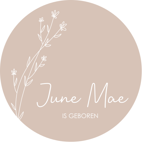 Raamsticker rond met beige achtergrond en witte takjes