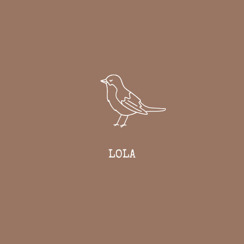 Minimalistisch geboortekaartje voor een meisje met tekening vogel