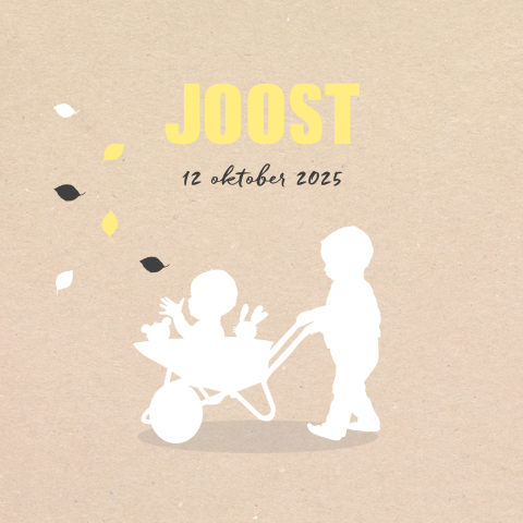 Stoer geboortekaartje met jongens en kruiwagen