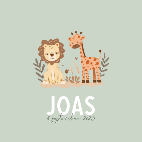 Groen geboortekaartje met vrolijke illustraties van jungledieren