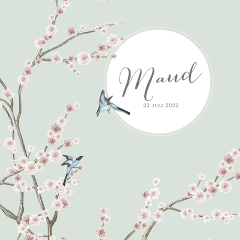 Lief geboortekaartje voor meisje met bloemen en vogels op mint