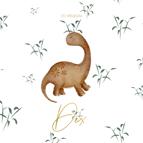 Geboortekaartje jongen met watercolour illustratie dino