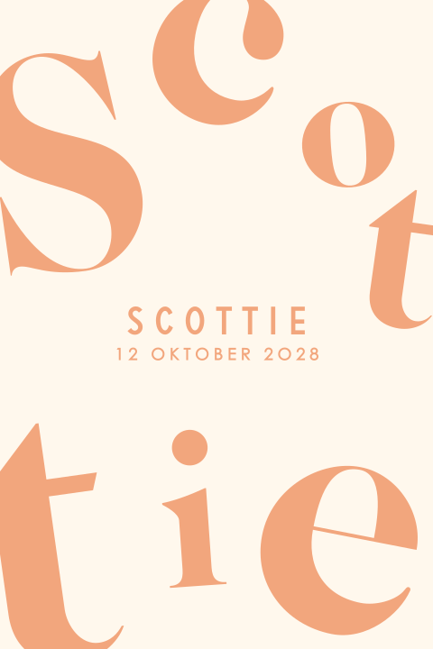 Typografisch geboortekaartje in oranje