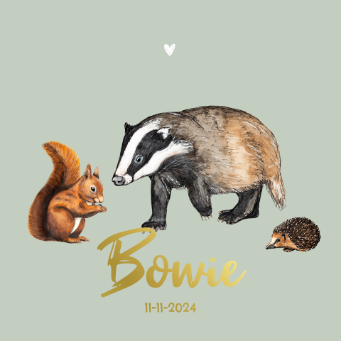 Lief groen geboortekaartje met bosdieren, hartje en goudfolie