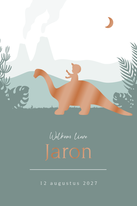 Hoogglans geboortekaartje jongen met silhouetje van dino