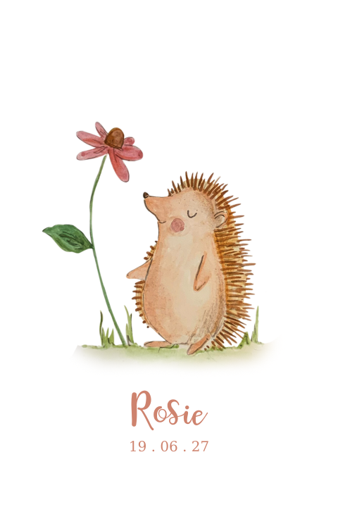 Schattig geboortekaartje meisje met egeltje en bloem
