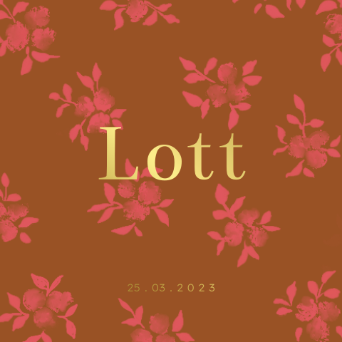 Color blocking geboortekaartje meisje met bloemen illustraties