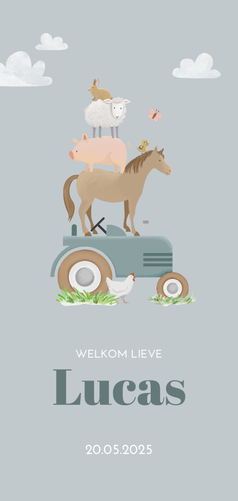 Langwerpig geboortekaartje blauw met boerderij dieren