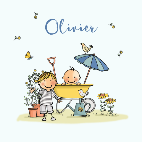 Schattig zomer geboortekaartje van broertjes in een kruiwagen