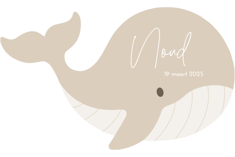 Origineel walvis geboortekaartje beige voor jongen
