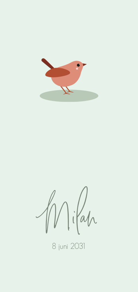 Minimalistisch groen geboortekaartje jongen met vogeltje