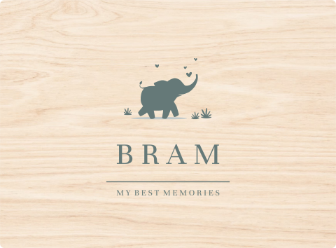 Memorybox baby met naam en olifant silhouetje