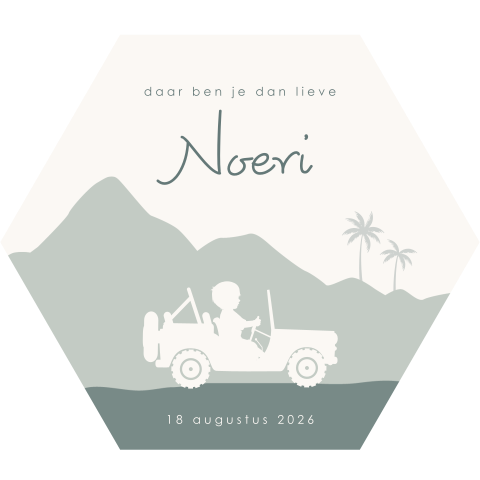 Uniek geboortekaartje in de vorm van een hexagon met silhouet