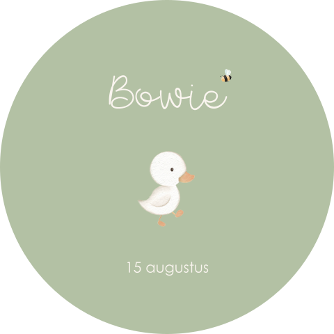Raamsticker rond groen met eendje en naam