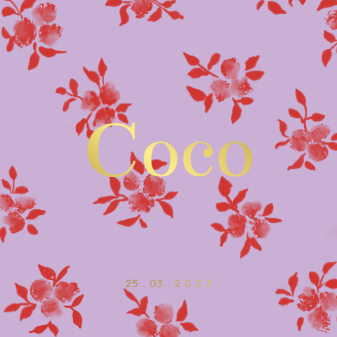 Geboortekaartje meisje met color blocking bloemen en goudfolie