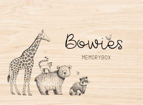 Memorybox met getekende dieren