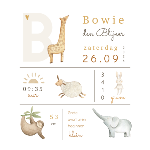 Poster kinderkamer vierkant met illustraties en geboortegegevens