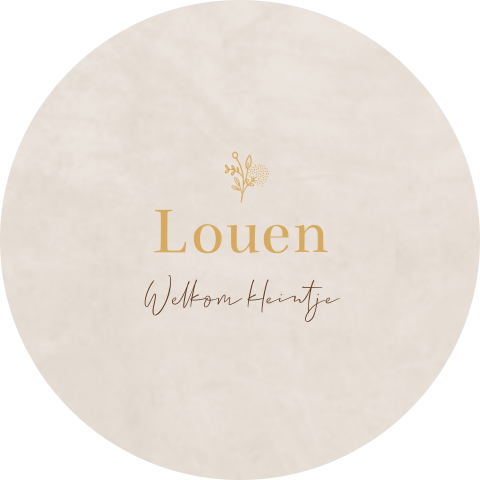 Raamsticker met velvet-look