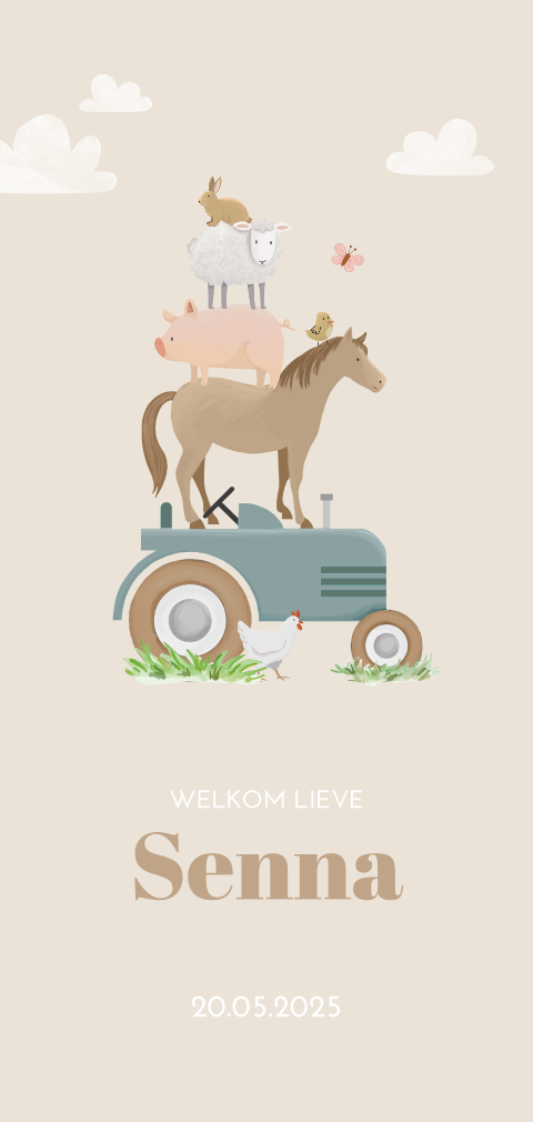 Langwerpig geboortekaartje beige met boerderij dieren