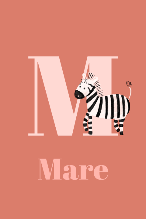 Vrolijk geboortekaartje meisje met initiaal en zebra