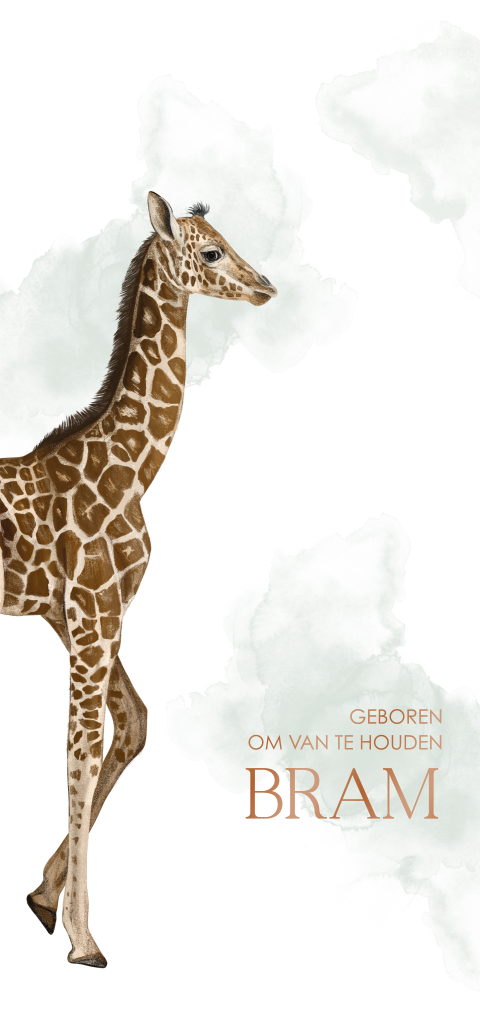 Watercolour geboortekaartje jongen met giraffe en hoogglans