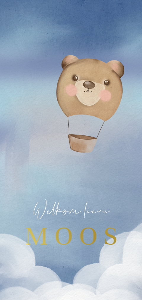 Geboortekaartje jongen met luchtballon beer en wolken