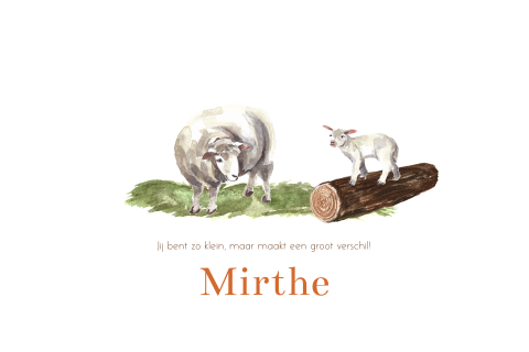 Lief meisje geboortekaartje met schaap en lammetje