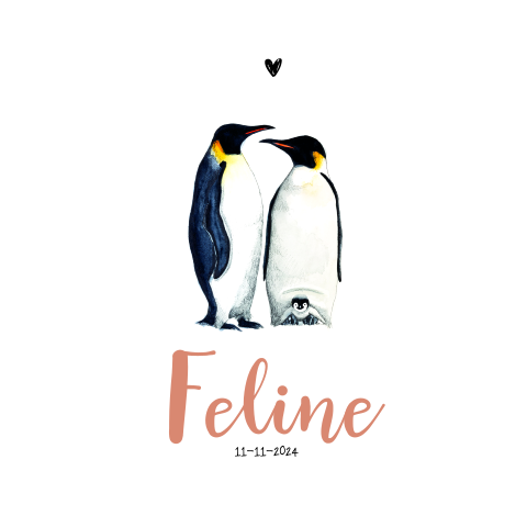 Stoer geboortekaartje voor meisje met pinguïns