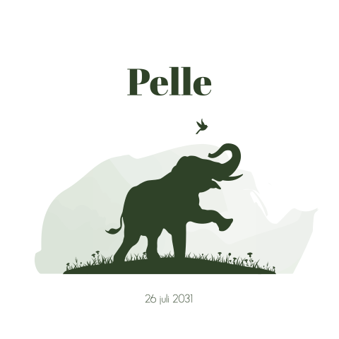 Geboortekaartje groen watercolour met silhouet olifantje