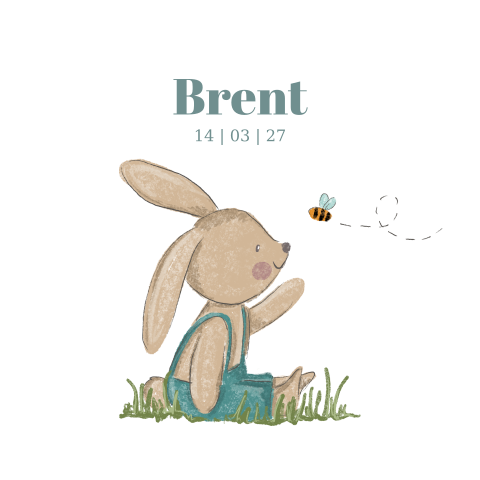 Lief geboortekaartje jongen met illustratie konijn met bijtje