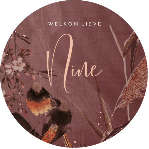 Raamsticker rond met bohemian thema, paarse achtergrond en vogels