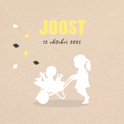 Hippe geboortekaart baby in kruiwagen met zusje