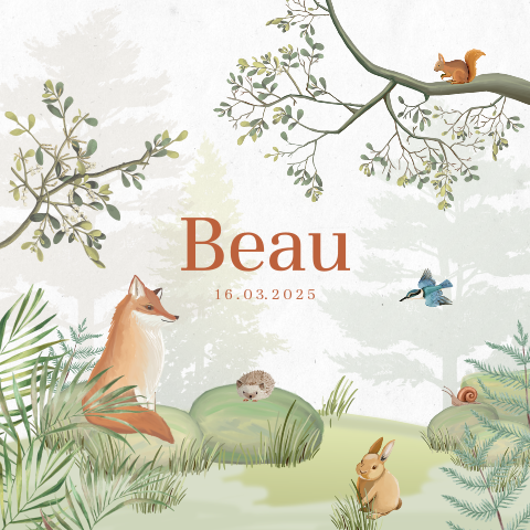 Leuke poster babykamer met bosdieren illustraties en naam