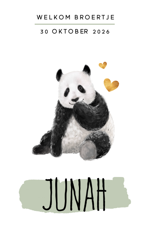 Hip geboortekaartje pandabeer