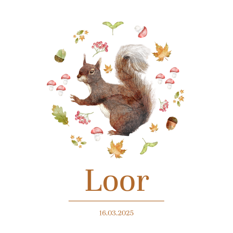 Herfst geboortekaartje met illustratie eekhoorn met bladeren en eikels