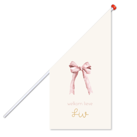 Geboortevlag met roze strik