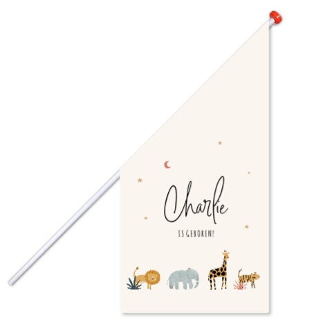 Geboortevlag met illustraties van jungledieren, maantje en sterretjes