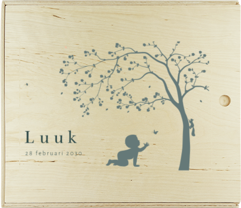 Doopsuiker presentatie doos met silhouet van jongen en boom