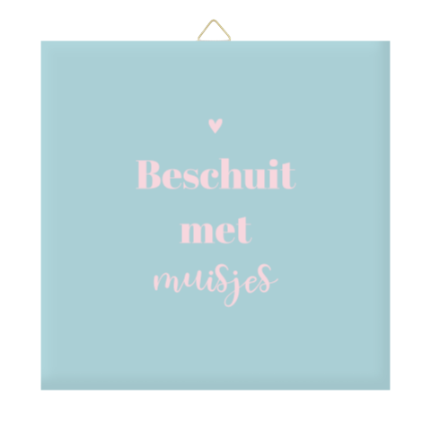 Zwangerschapsaankondiging tegeltje blauw roze
