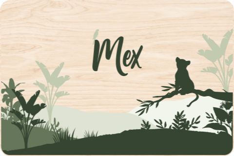 Memorybox met junglethema en leeuwtje