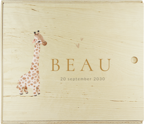 Doopsuiker presentatie doos met giraffe en hartjes