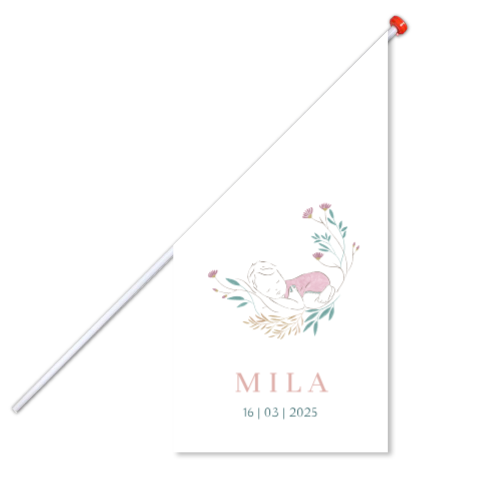 Geboortevlag meisje met pastelkleuren en bloemen